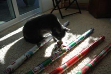 First, I purrsonally checked wrapping