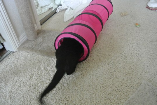 whew! I am so tired..I think I will hang out in the pink teleport tunnel